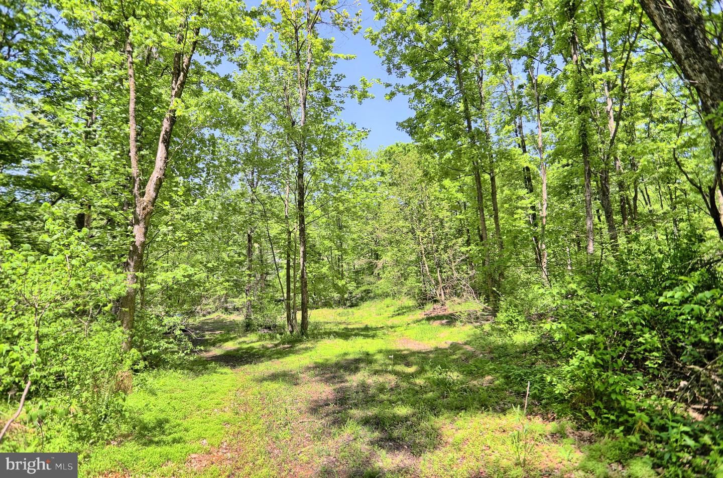 4909 Raccoon Valley Rd Rd Property Photo 75