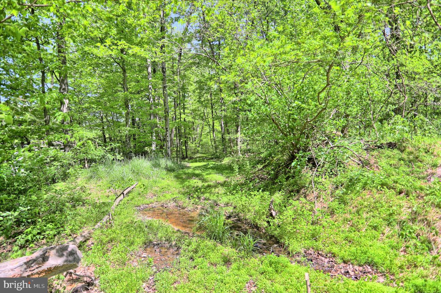 4909 Raccoon Valley Rd Rd Property Photo 77