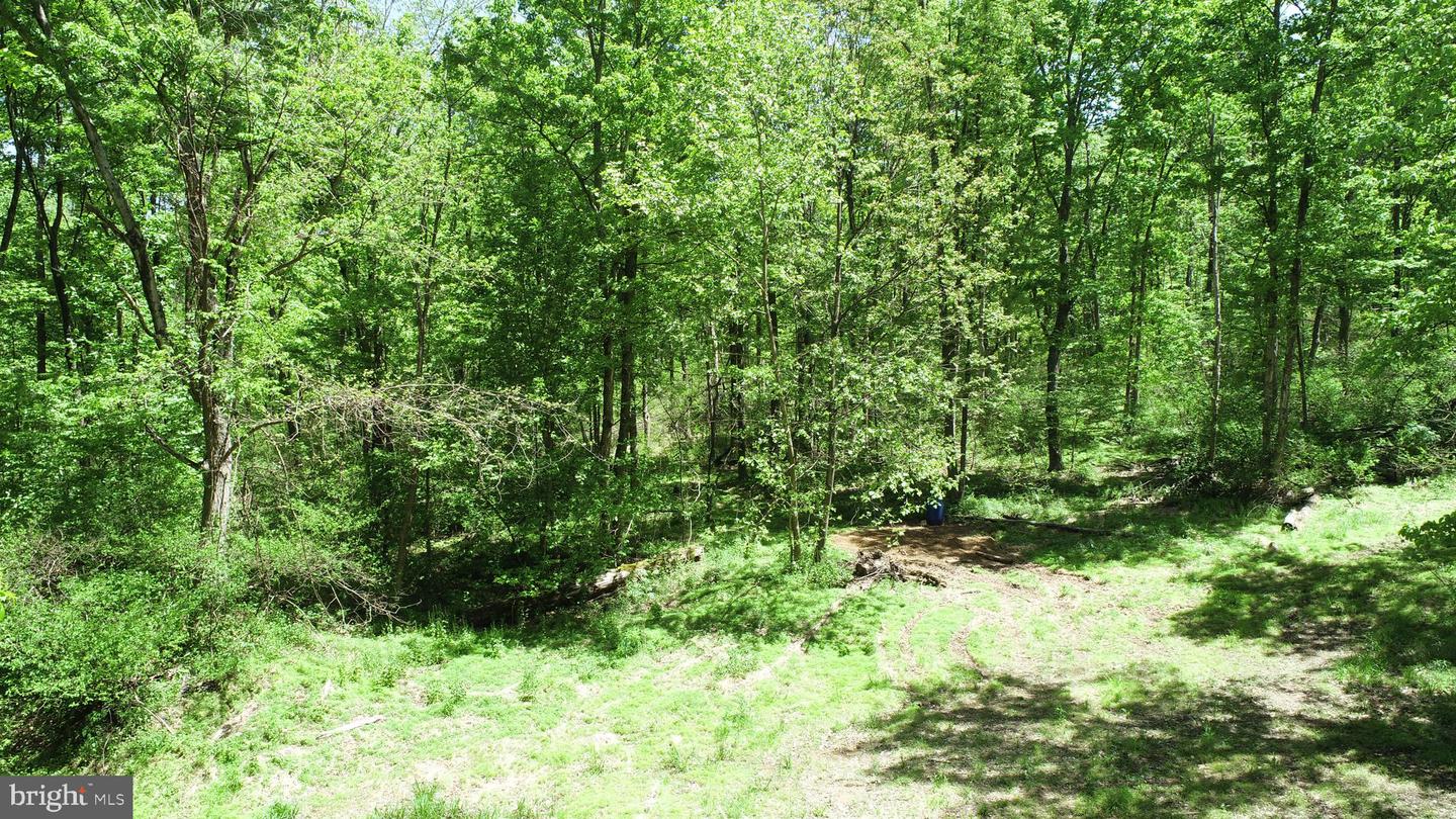 4909 Raccoon Valley Rd Rd Property Photo 78