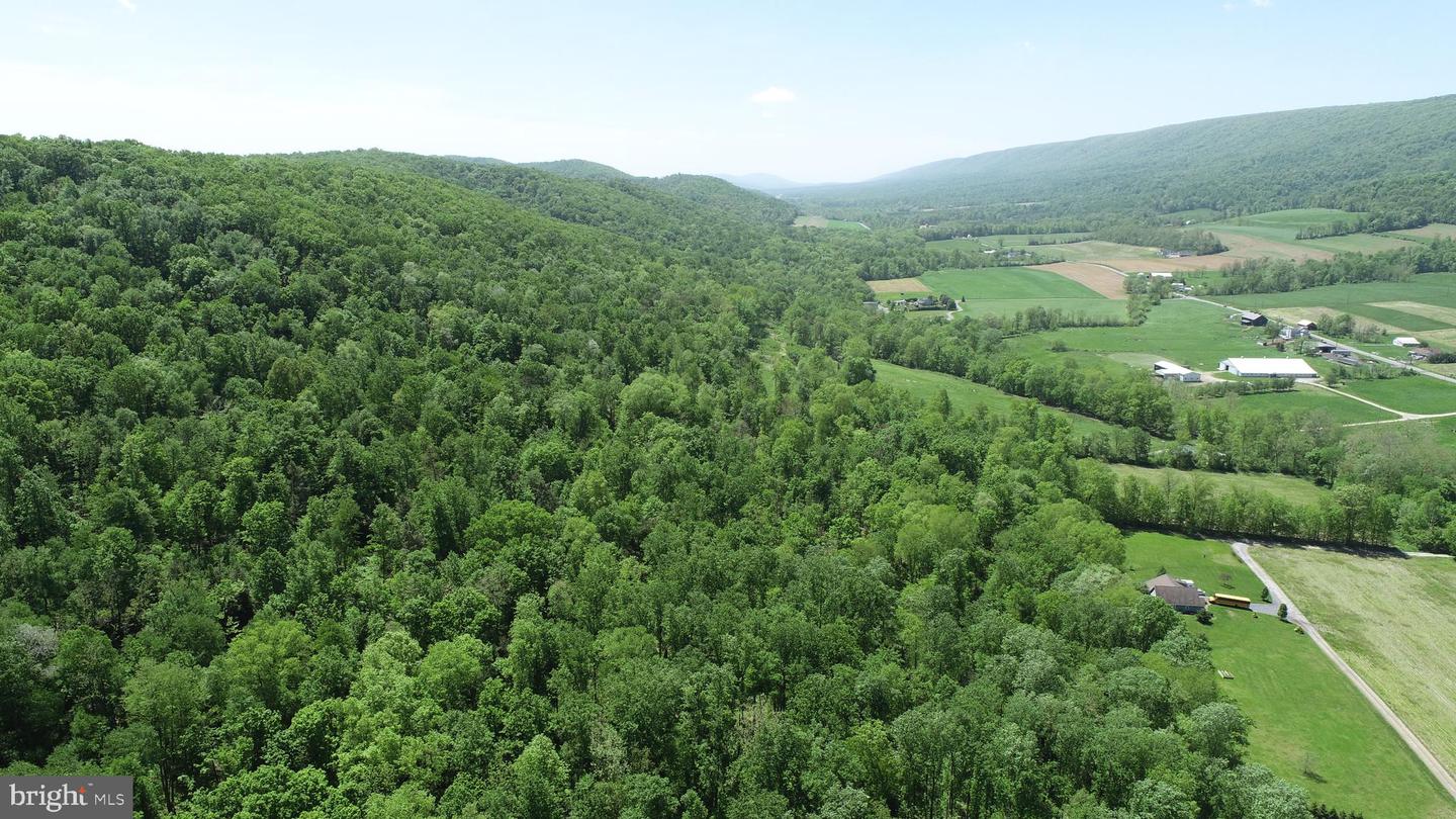 4909 Raccoon Valley Rd Rd Property Photo 86