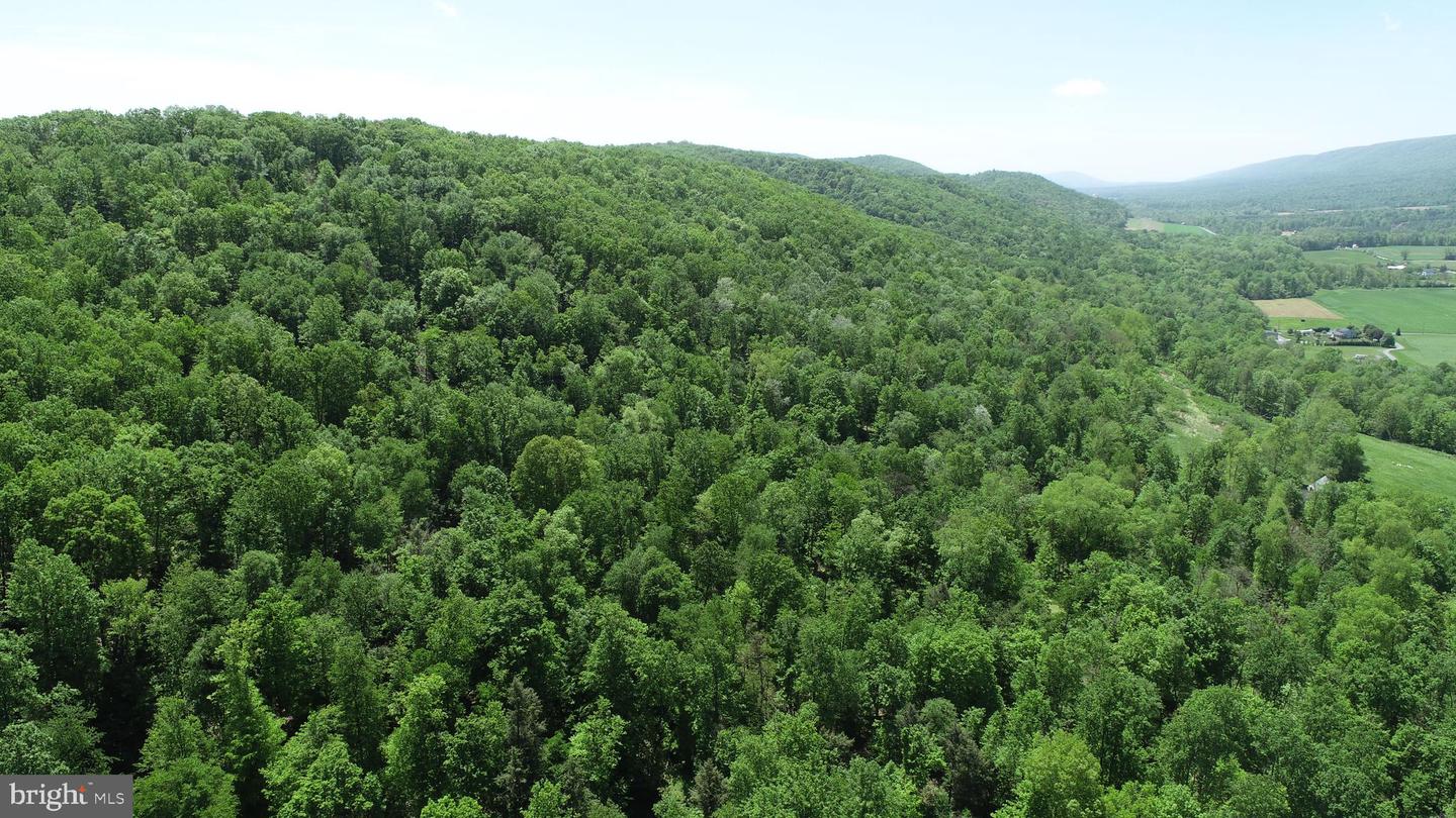 4909 Raccoon Valley Rd Rd Property Photo 87