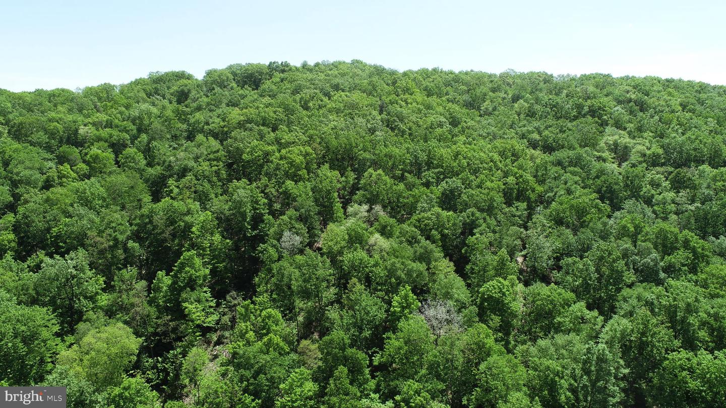 4909 Raccoon Valley Rd Rd Property Photo 90