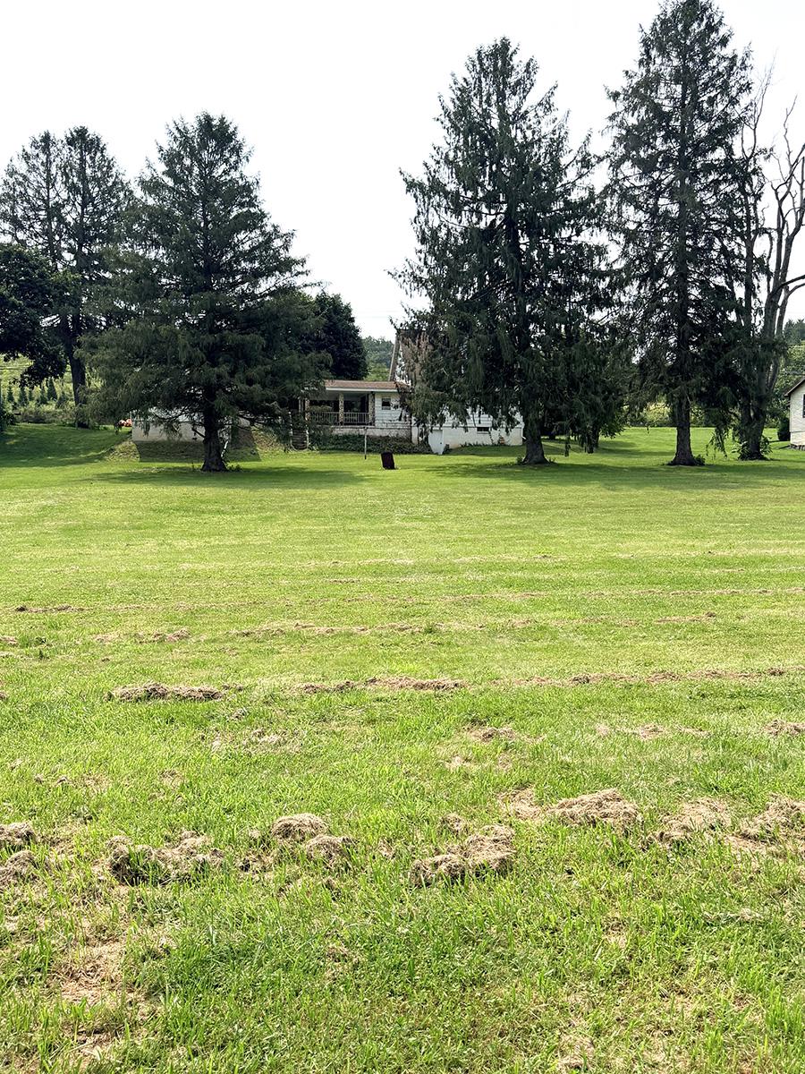 6620 Spring Rd Property Photo 12