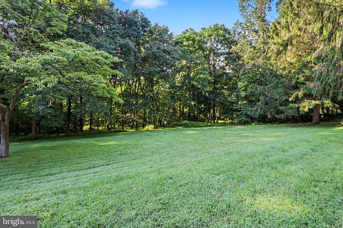 11 Maxwill Ln Property Photo 25