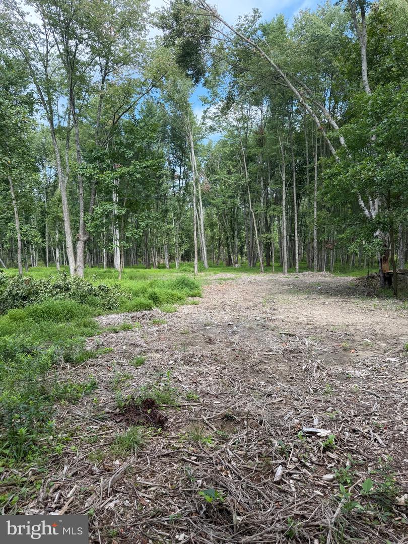 80 Lambs Gap Rd Property Photo 1