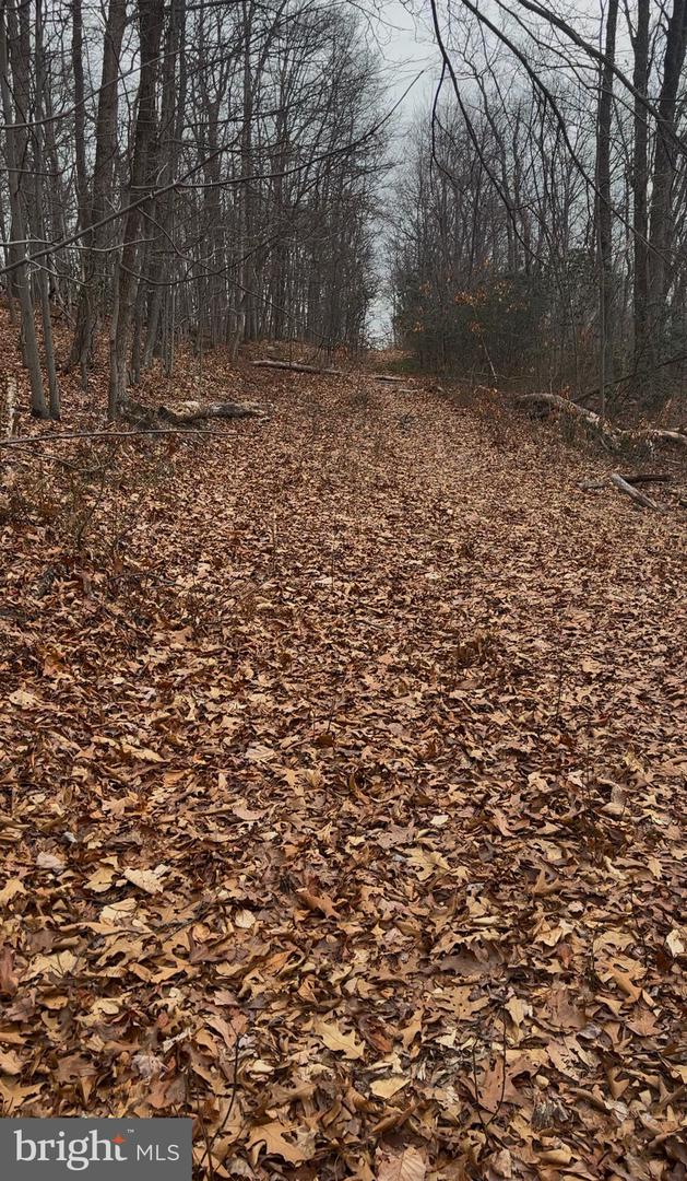 0 New Bloomfield Rd Property Photo 4