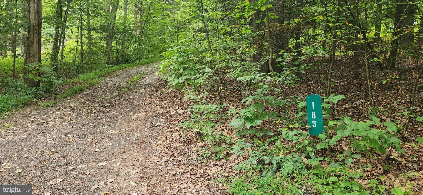 Lot 1 Juniata Furnace Ln Property Photo 1