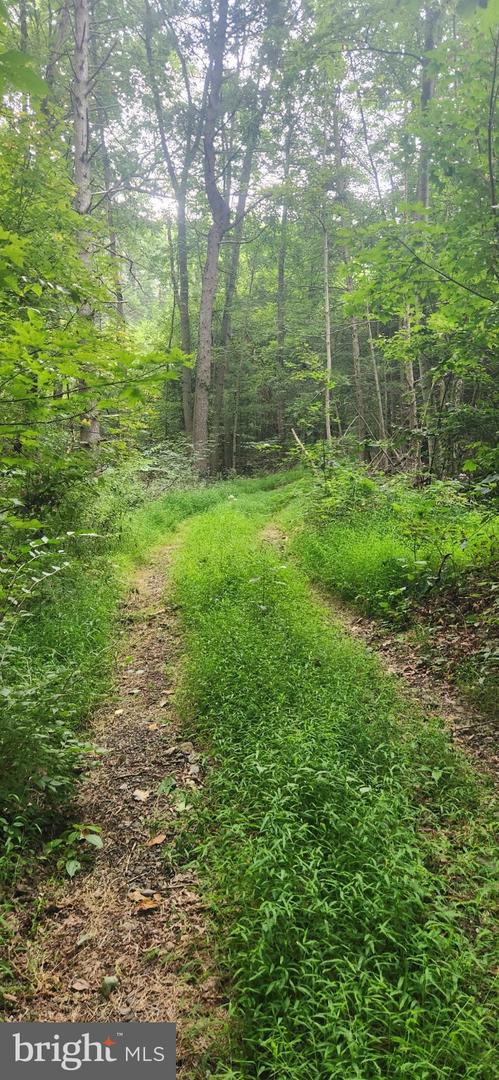 Lot 1 Juniata Furnace Ln Property Photo 2