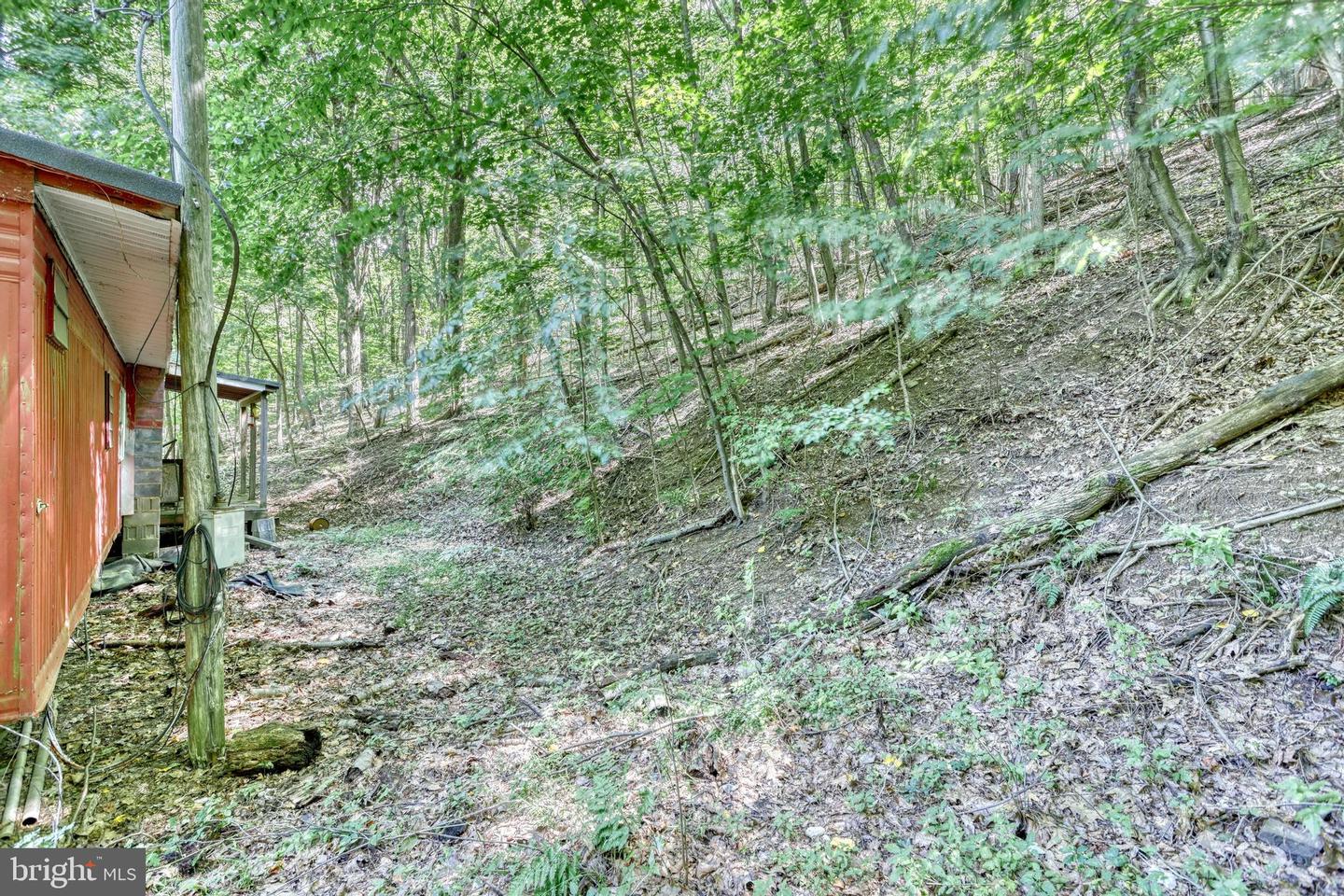 233 Cabin Ln Property Photo 18