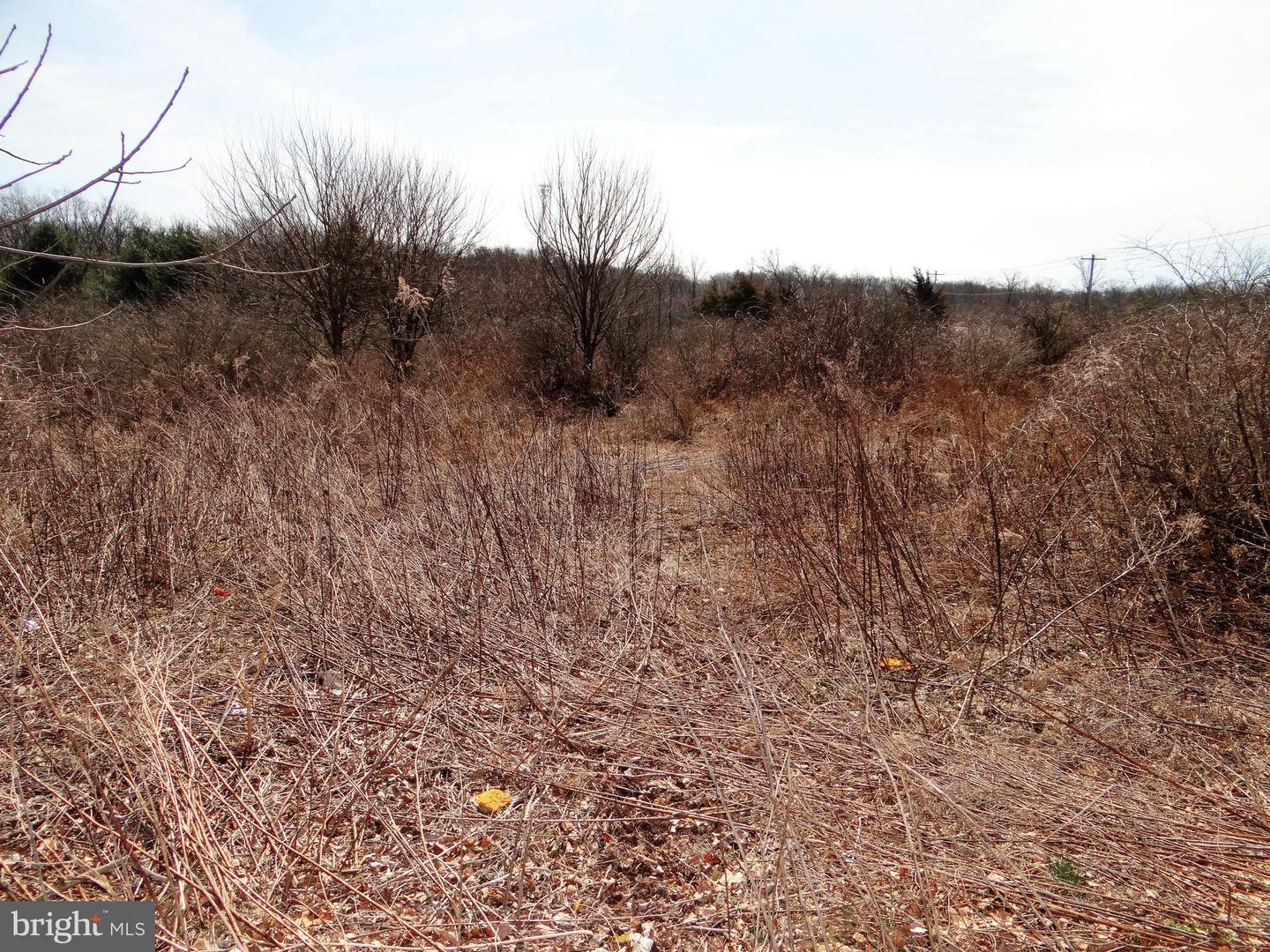 0 S Route 183 Property Photo 11