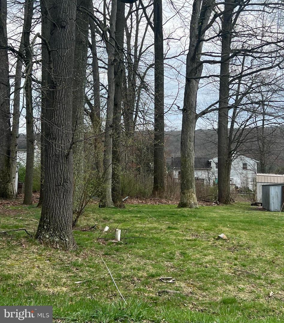 0 Maple St Property Photo