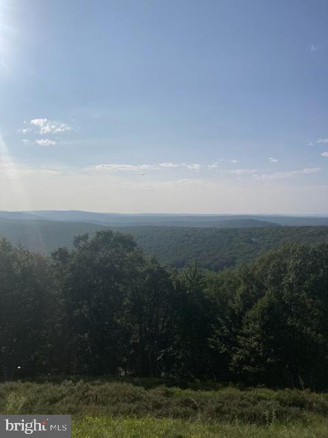 51 Mohican Ct Property Photo 8