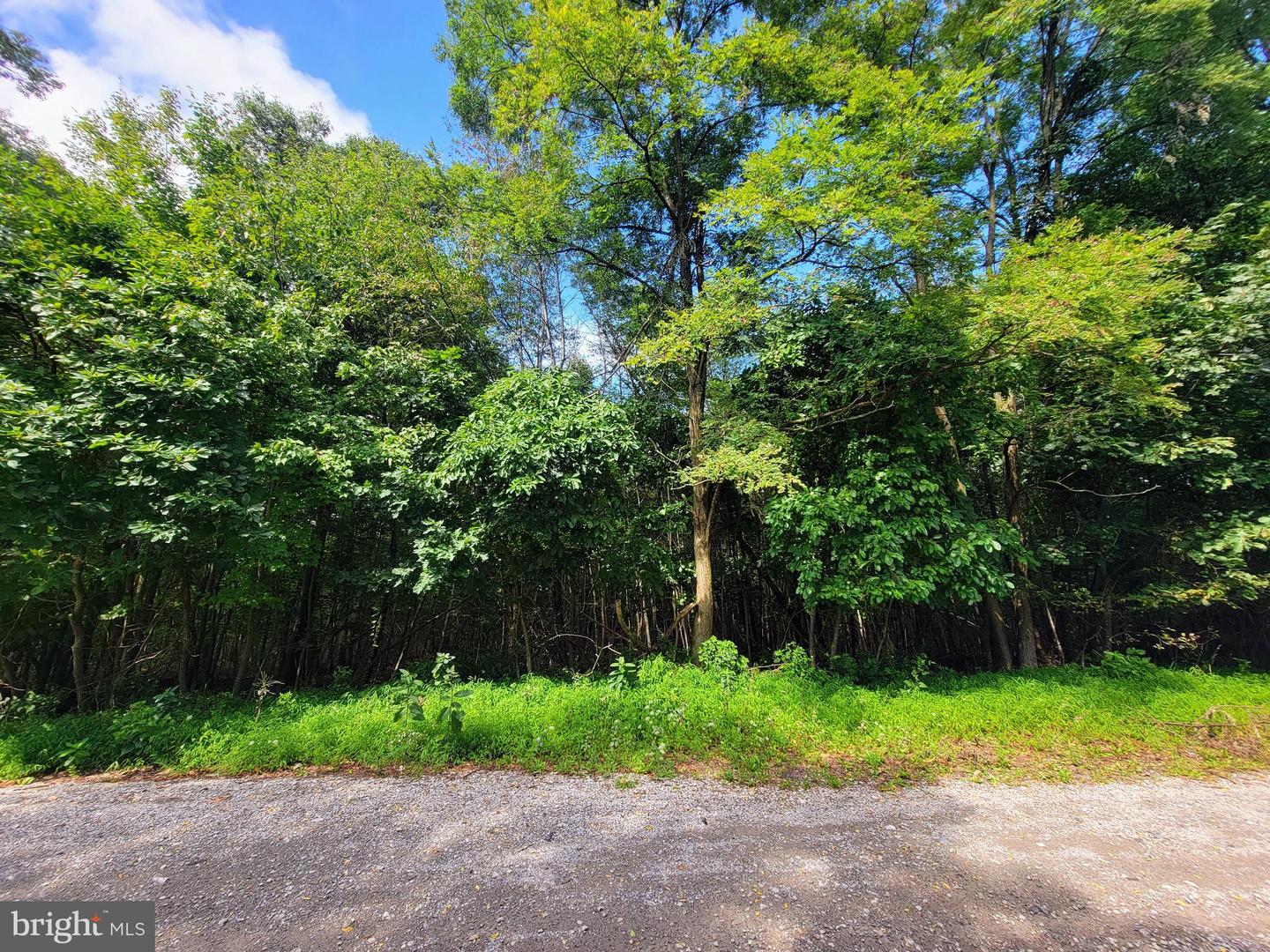 0 Whitetail Crossings Rd Property Photo 1