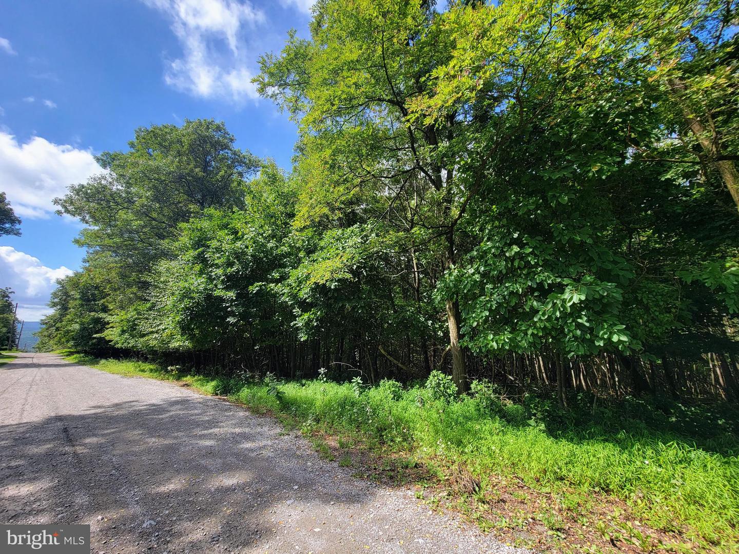 0 Whitetail Crossings Rd Property Photo 2