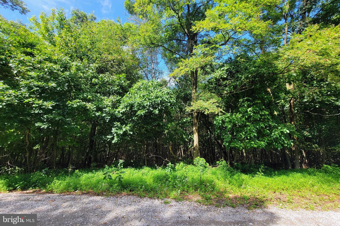0 Whitetail Crossings Rd Property Photo 4
