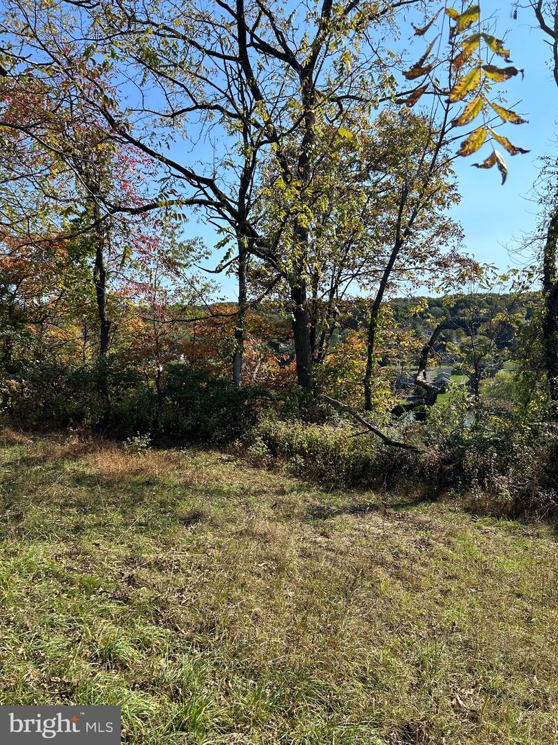 988 Horseman Dr Property Photo