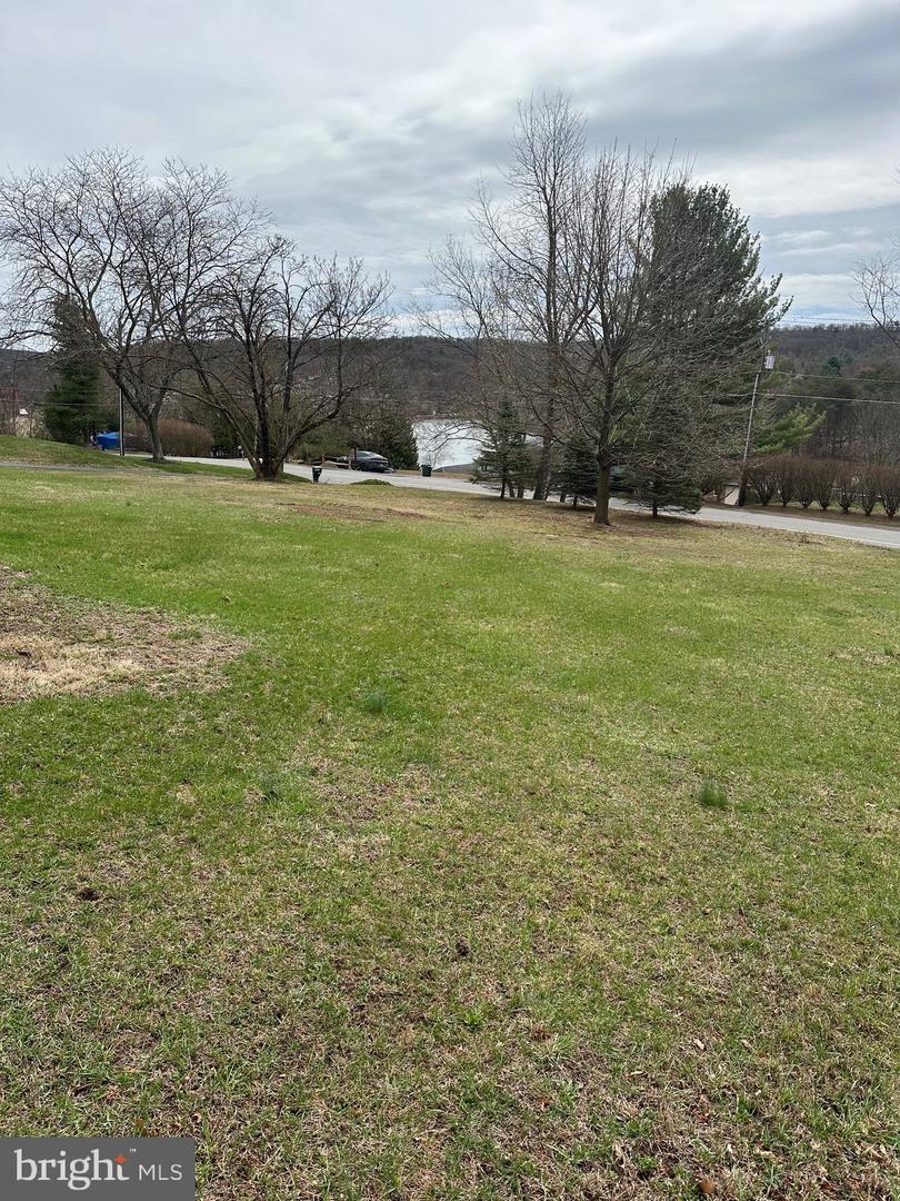1920 Wynonah Dr Property Photo 1