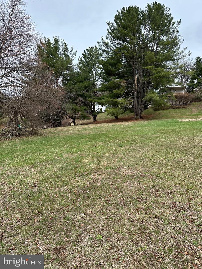 1920 Wynonah Dr Property Photo 4