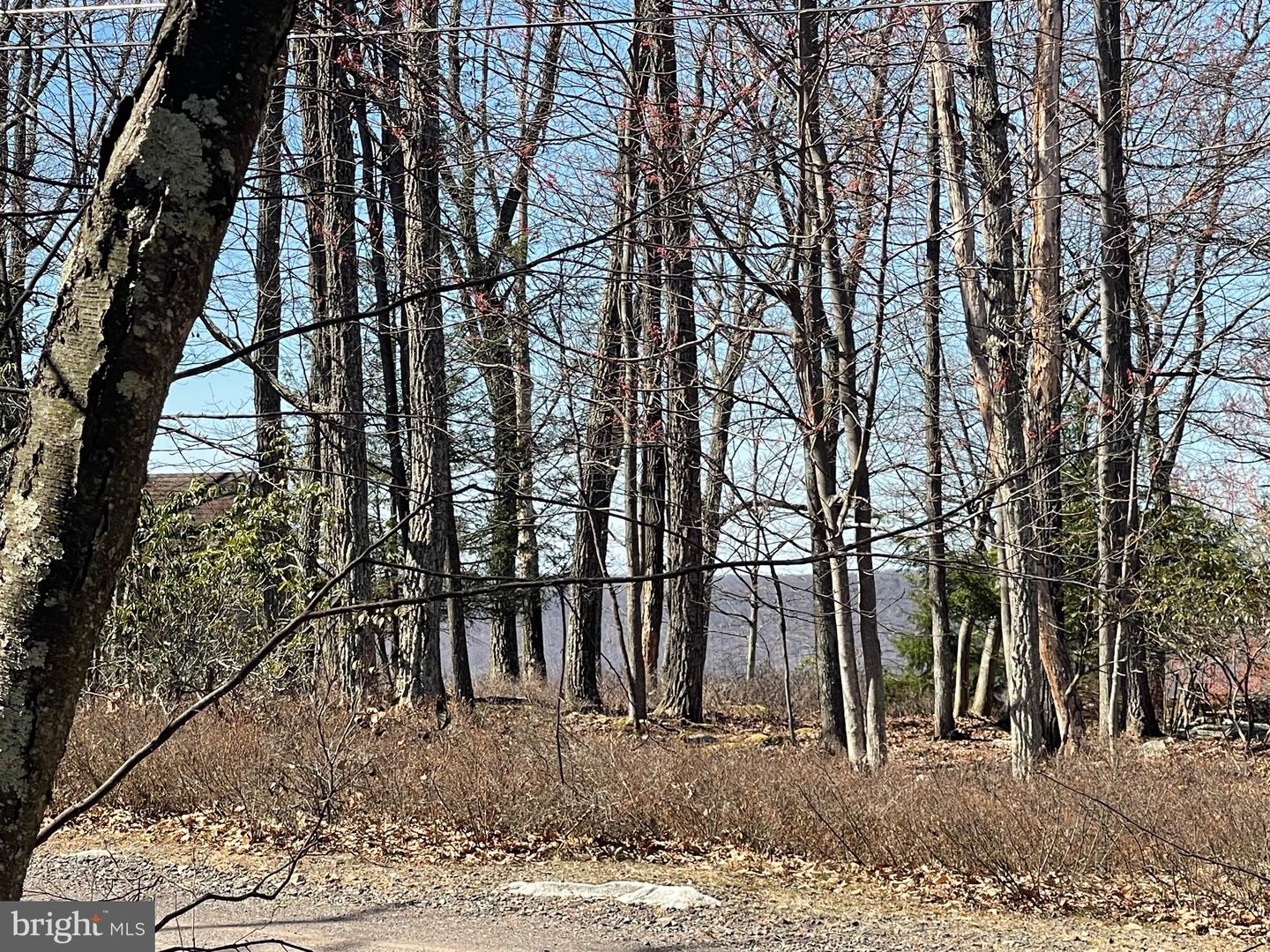 556-557 Haystack Dr Property Photo 4