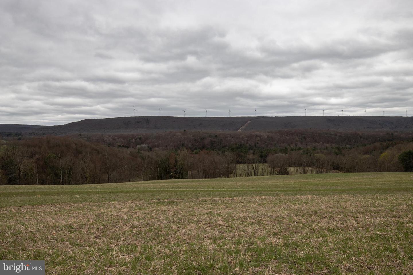 365 Phineyville Rd Property Photo 4
