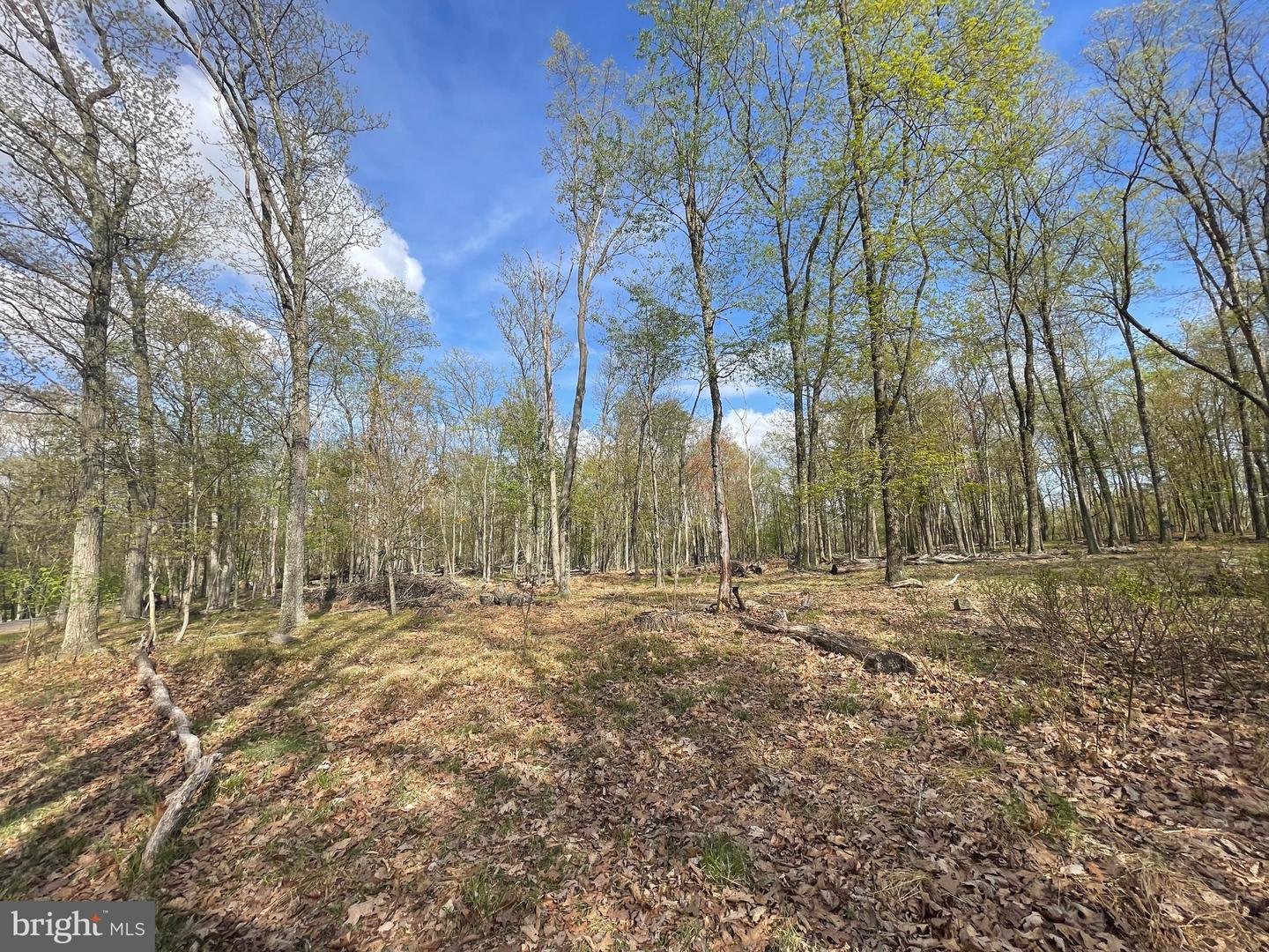 306 Mountain Snow Circle Property Photo 1