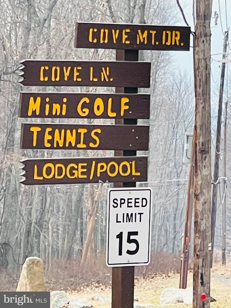 306 Mountain Snow Circle Property Photo 13