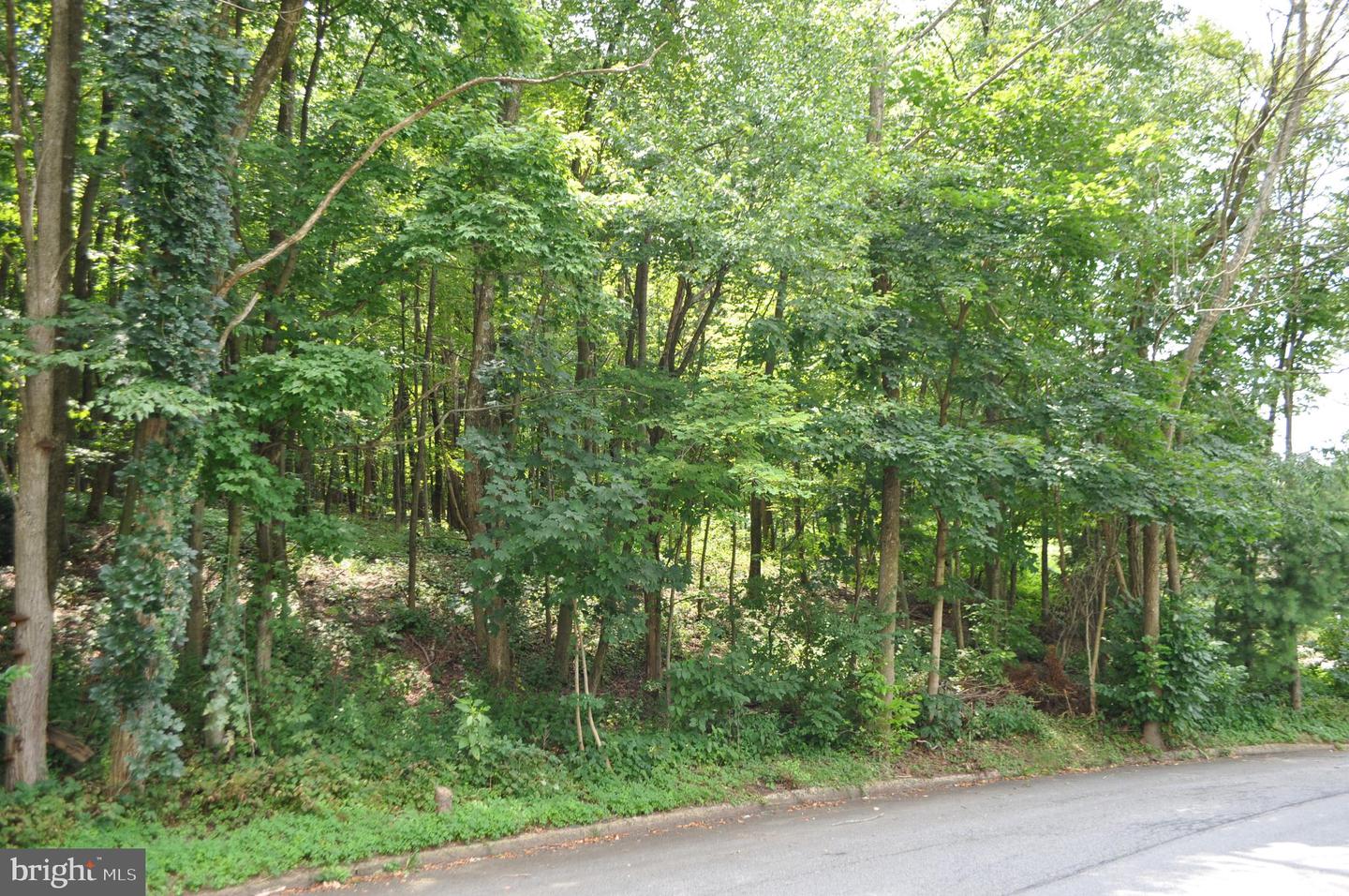 0 Mahantongo Dr Property Photo 3