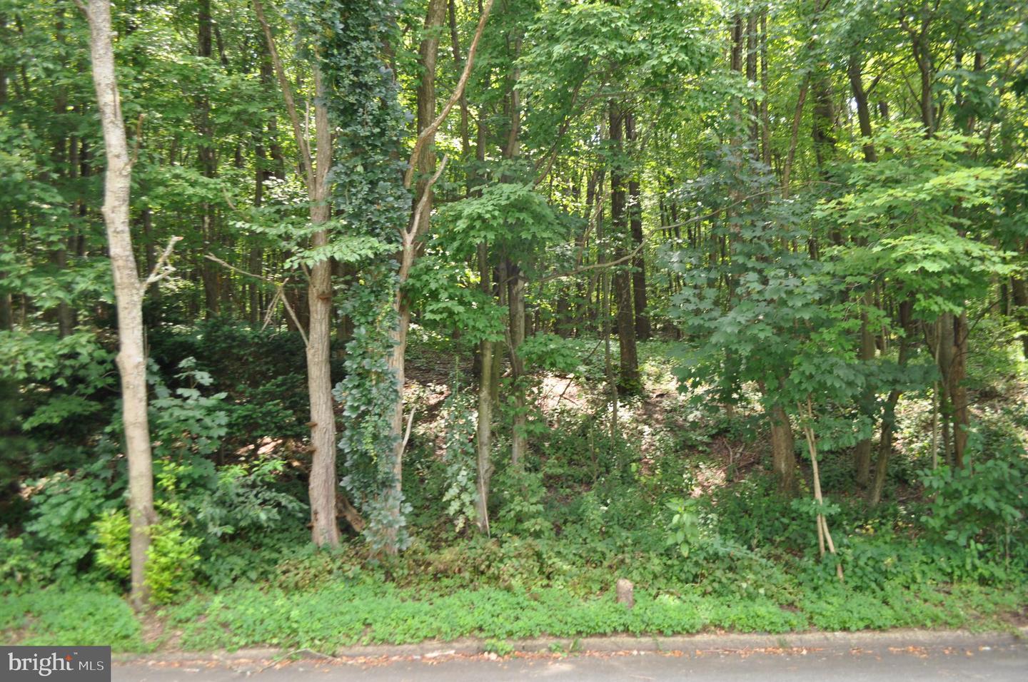 0 Mahantongo Dr Property Photo 4