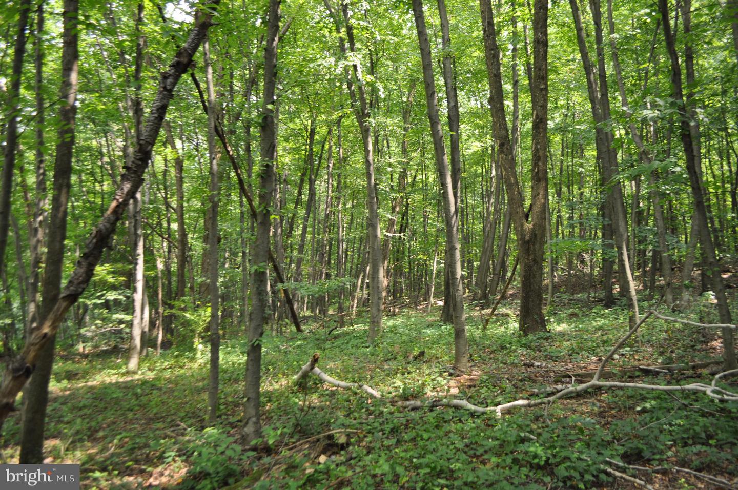 0 Mahantongo Dr Property Photo 6