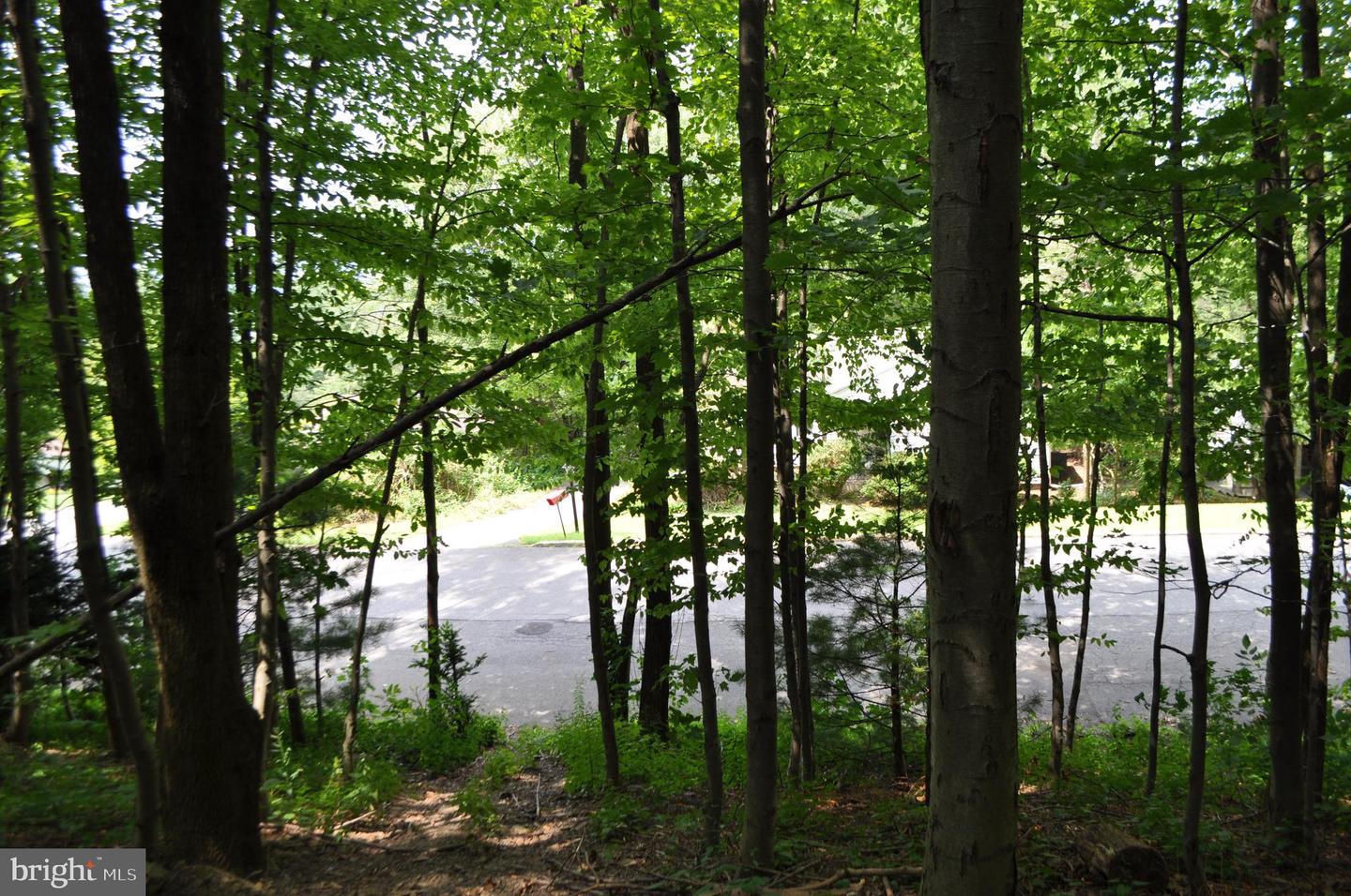 0 Mahantongo Dr Property Photo 7