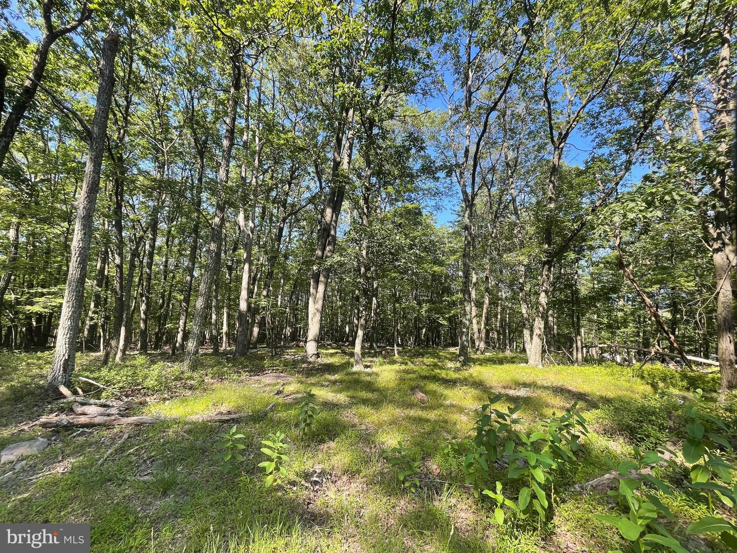 424 Camel Back Property Photo 1