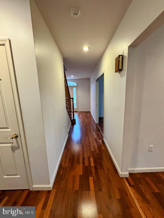 55 Conyngham Dr Property Photo 28