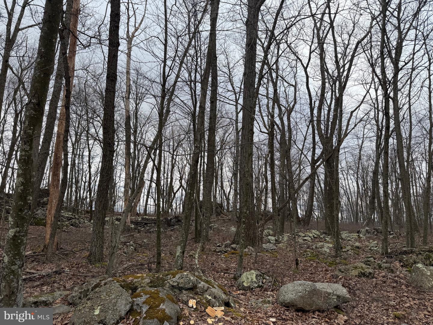 Lot 287.1 Spring Mountain Dr Property Photo 1