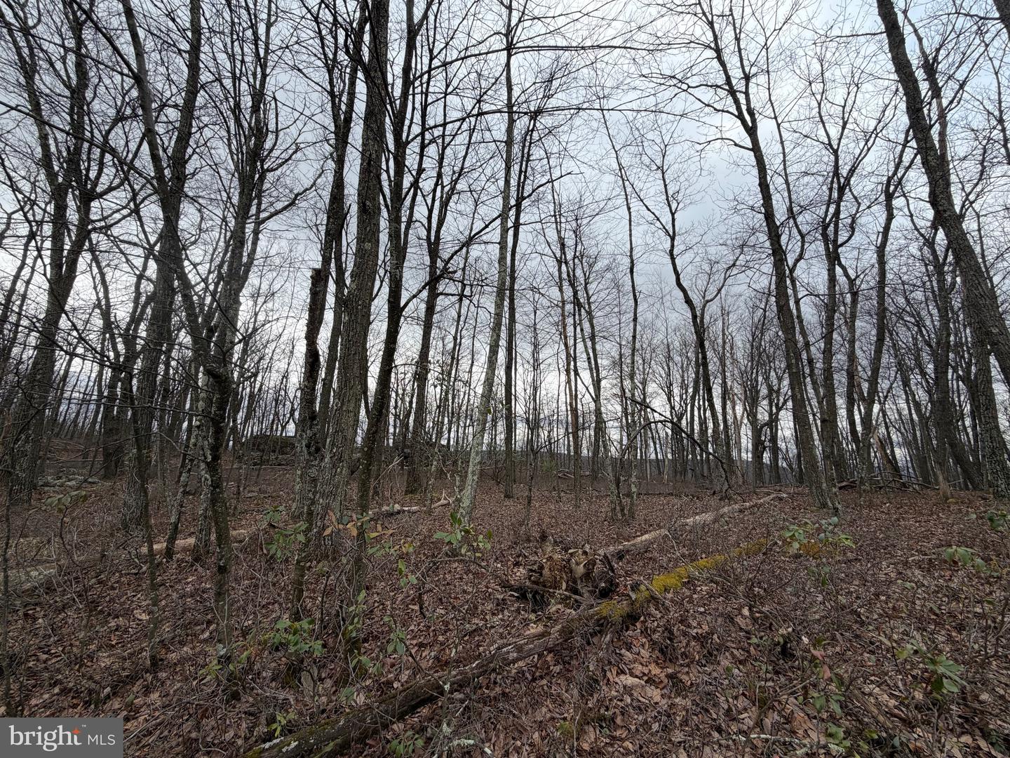 Lot 287.2 Spring Mountain Dr Property Photo 1