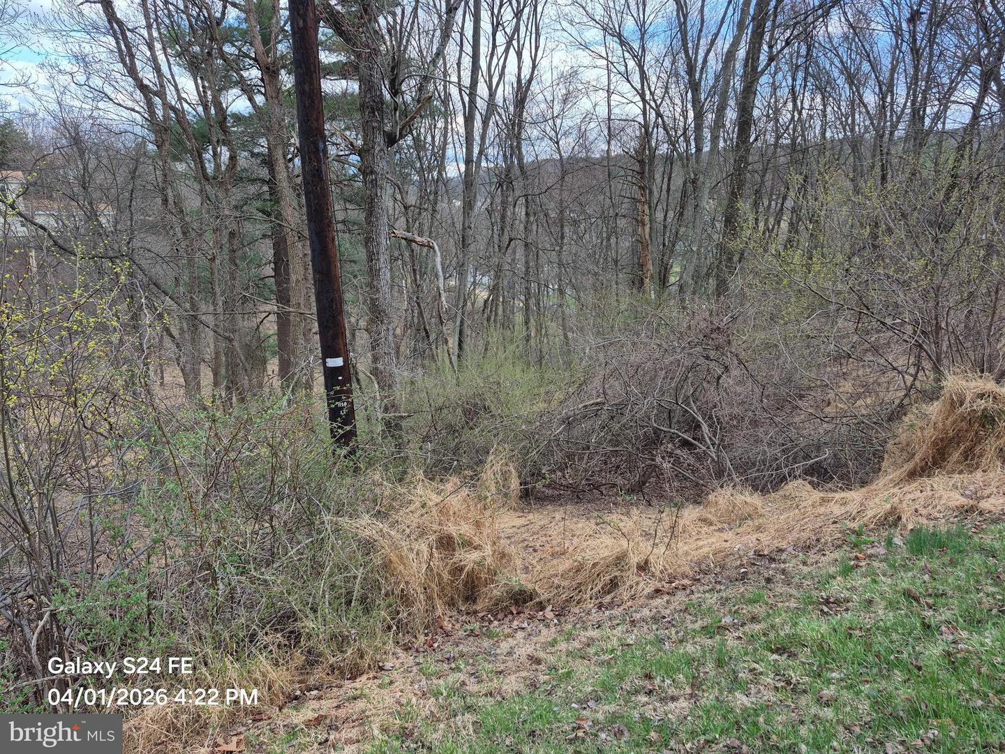 988 Horseman Dr Property Photo 1