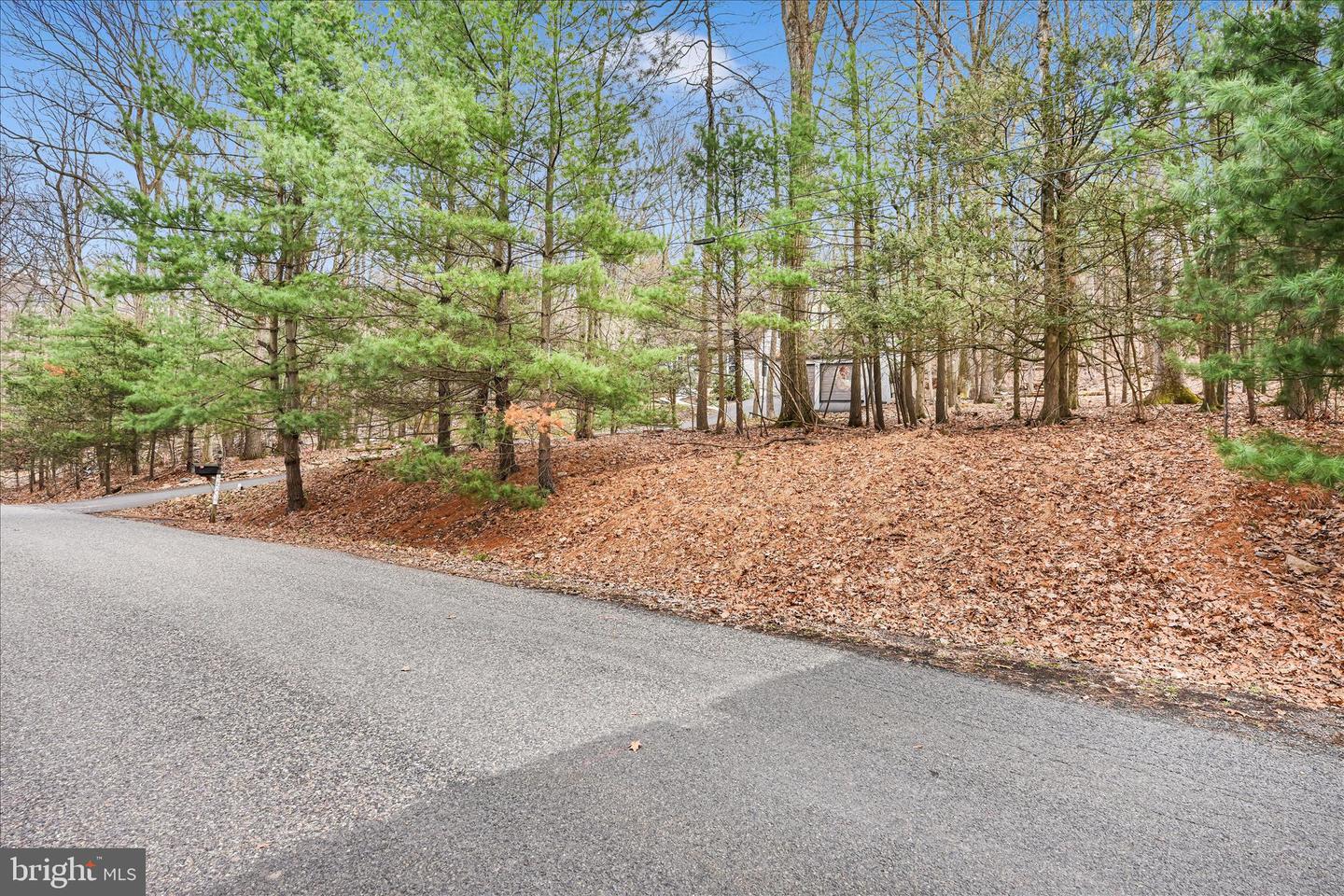 2504 & 2503 Wagon Wheel Dr Property Photo 6