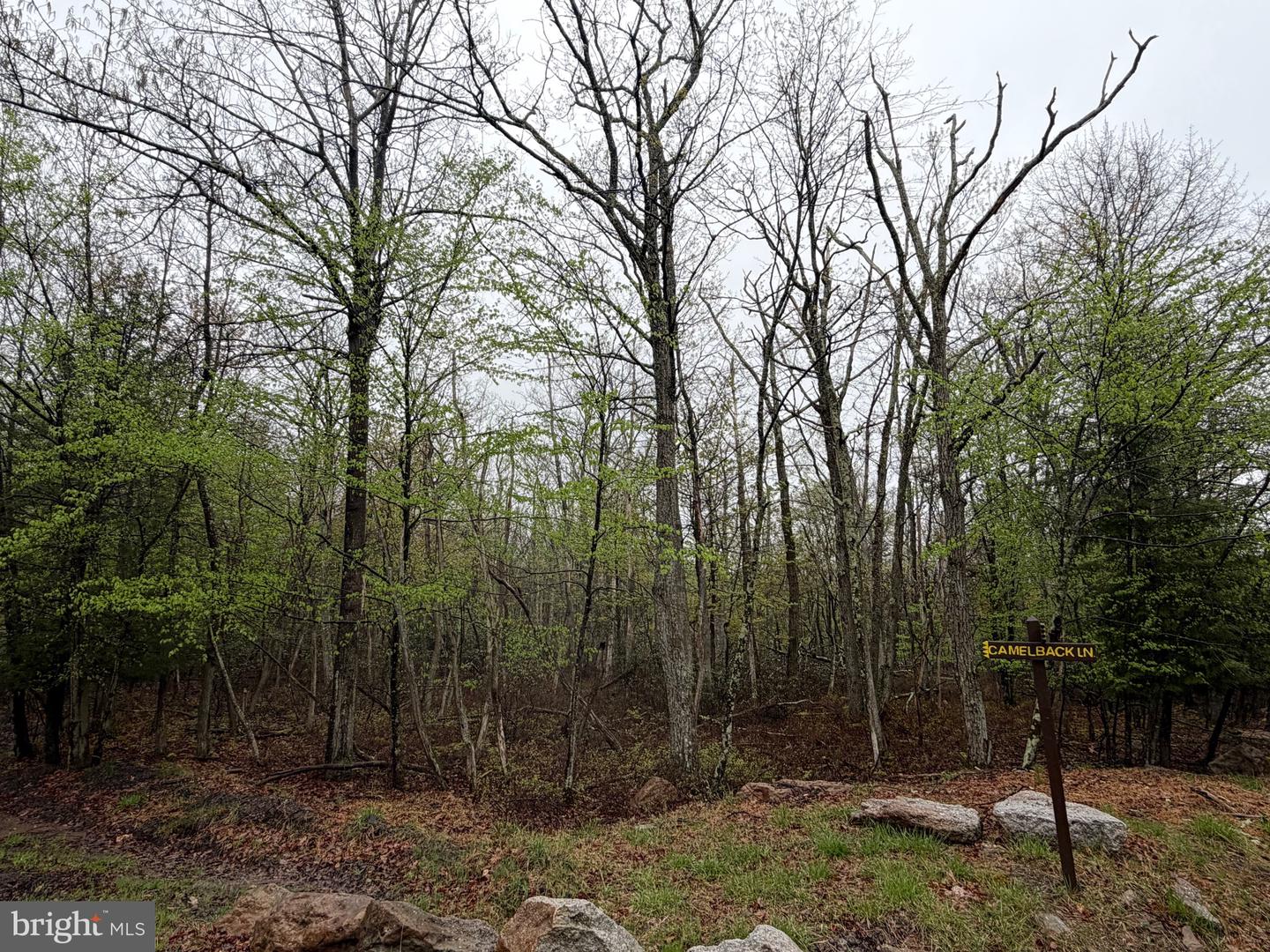 571 Haystack Drive Property Photo 1