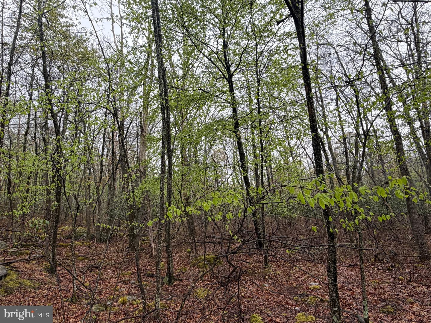 571 Haystack Drive Property Photo 3