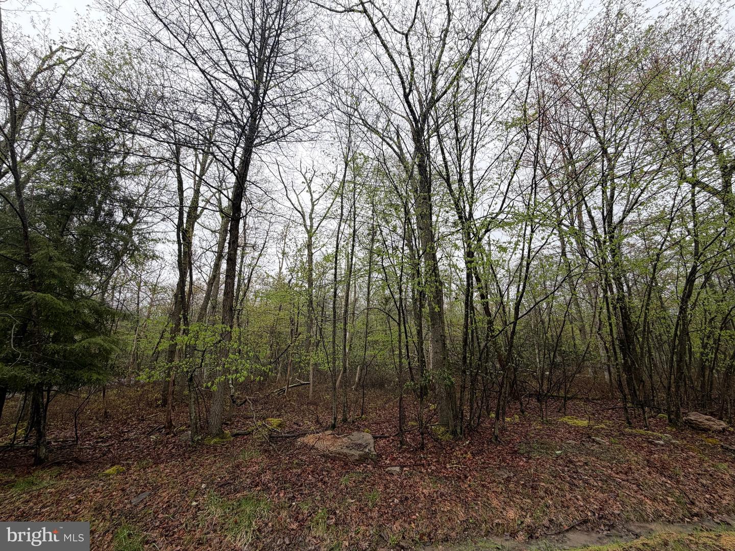 570 Haystack Drive Property Photo 1