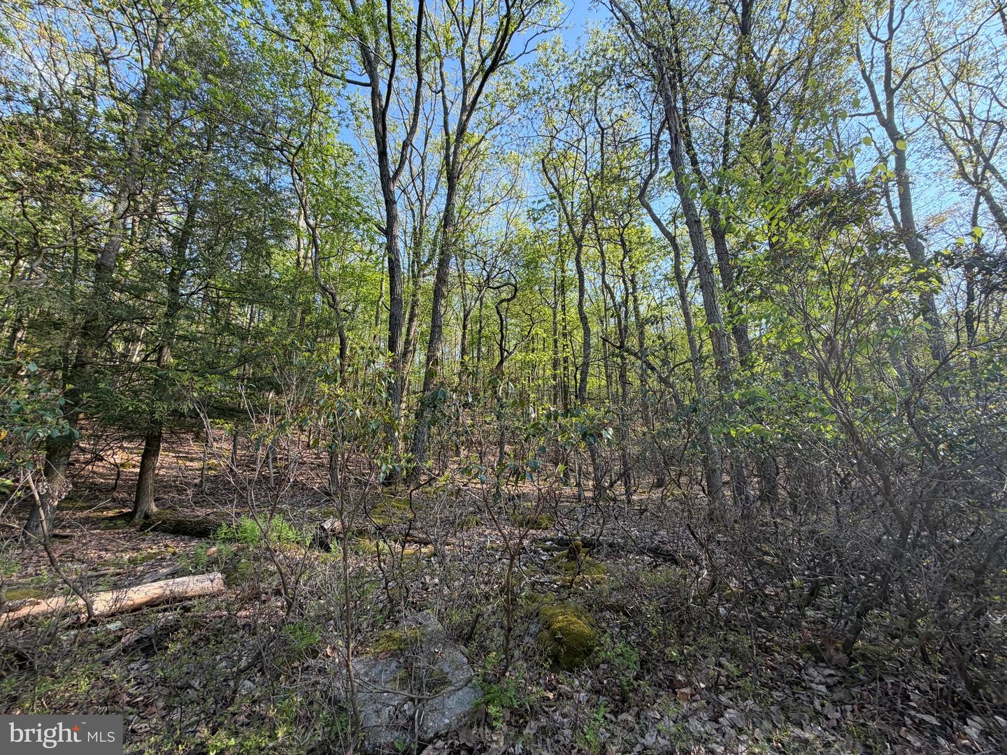 462 Spring Mountain Dr Property Photo 1