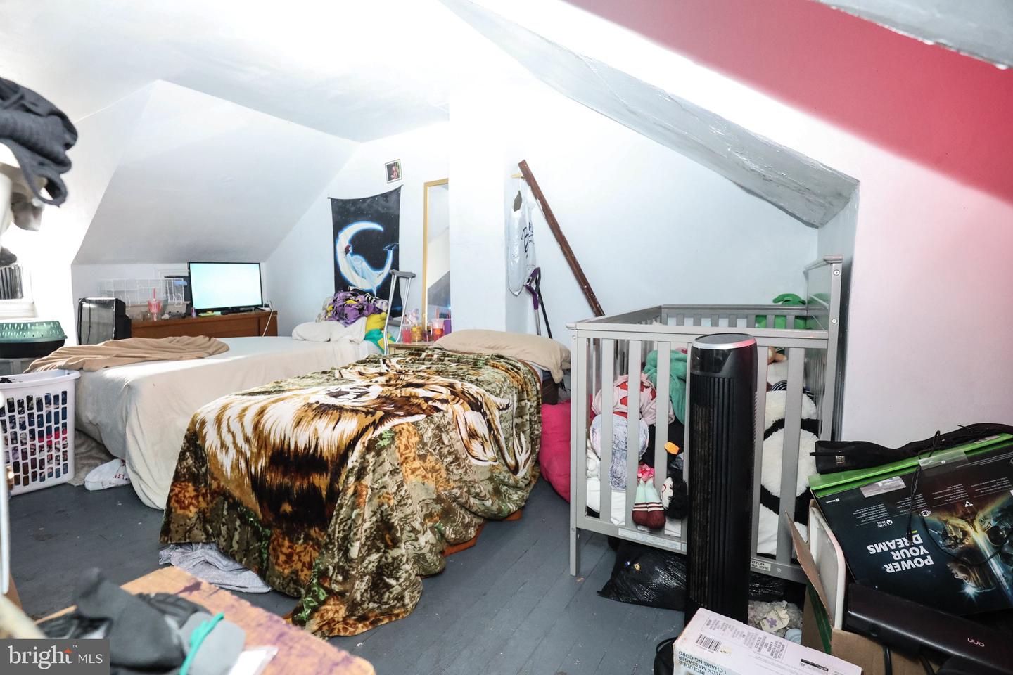 13 Lewis St Property Photo 13