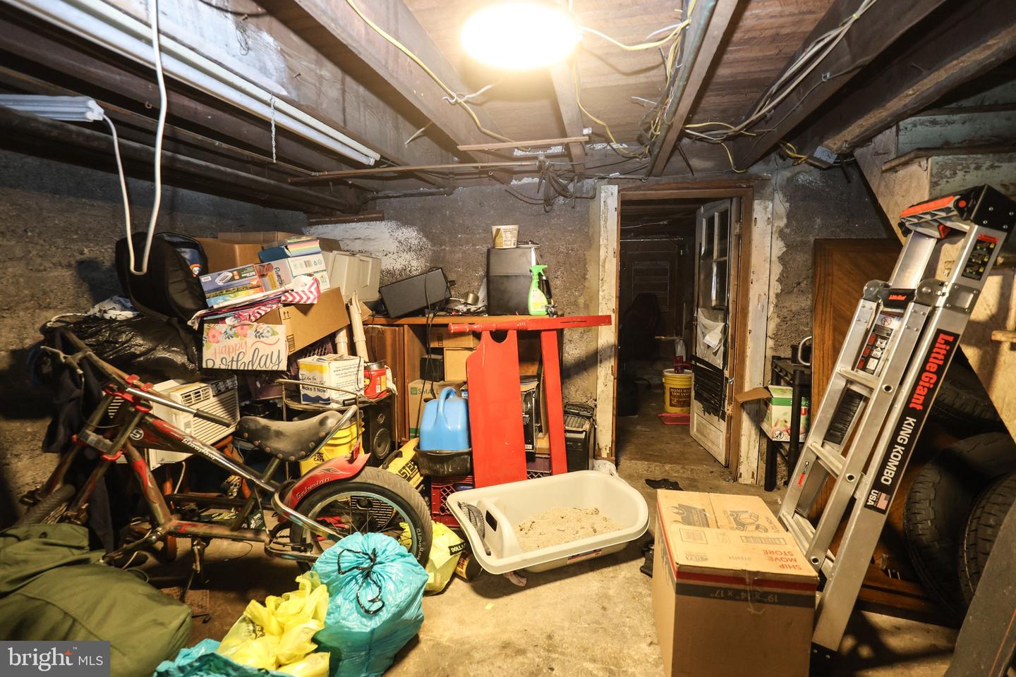 13 Lewis St Property Photo 15