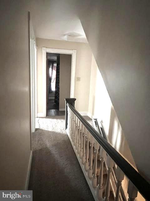 317 Centre Ave Property Photo 21