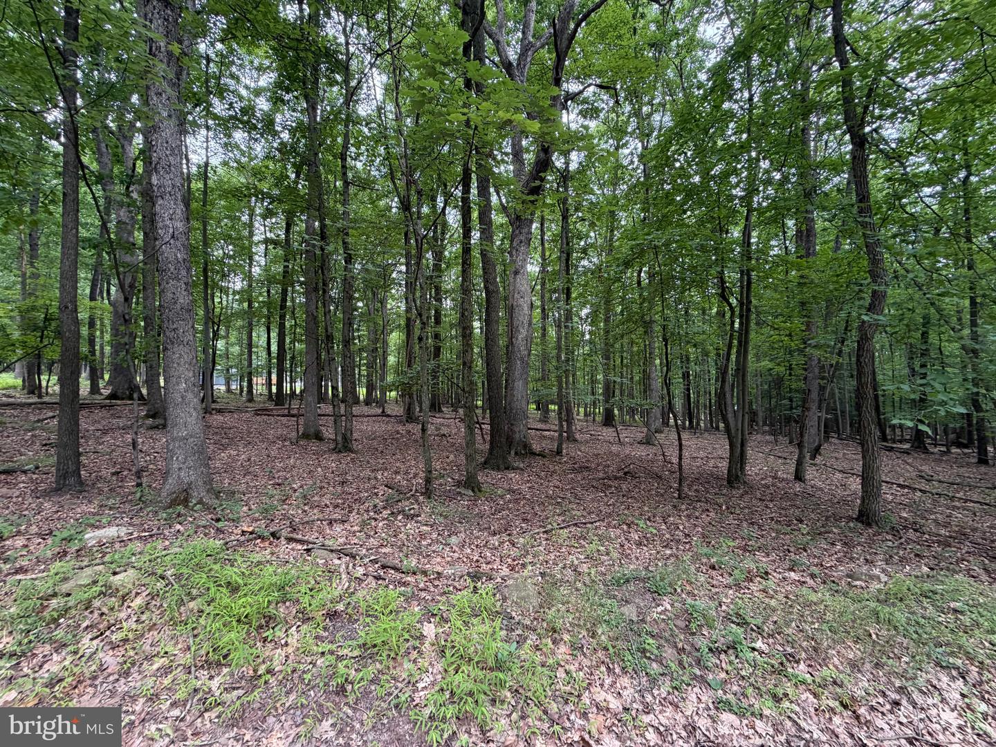 655 Aspen Drive Property Photo 1