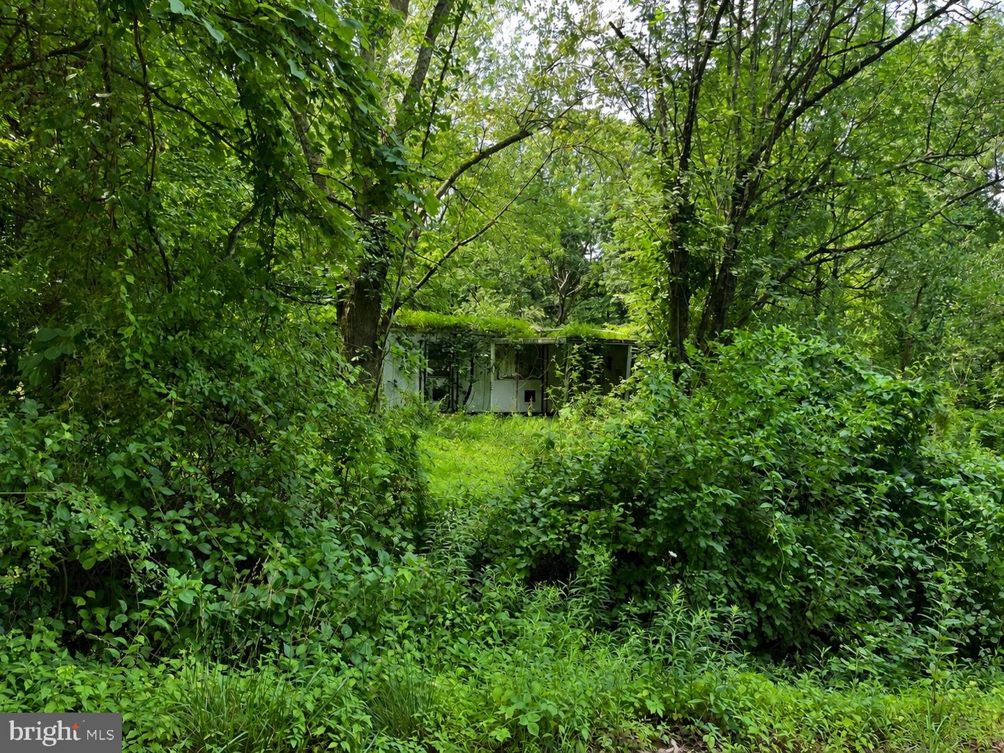 5 Blue Mountain Hts Property Photo 1