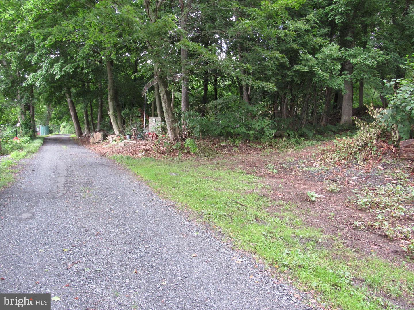 0 Silver Ln Property Photo 2