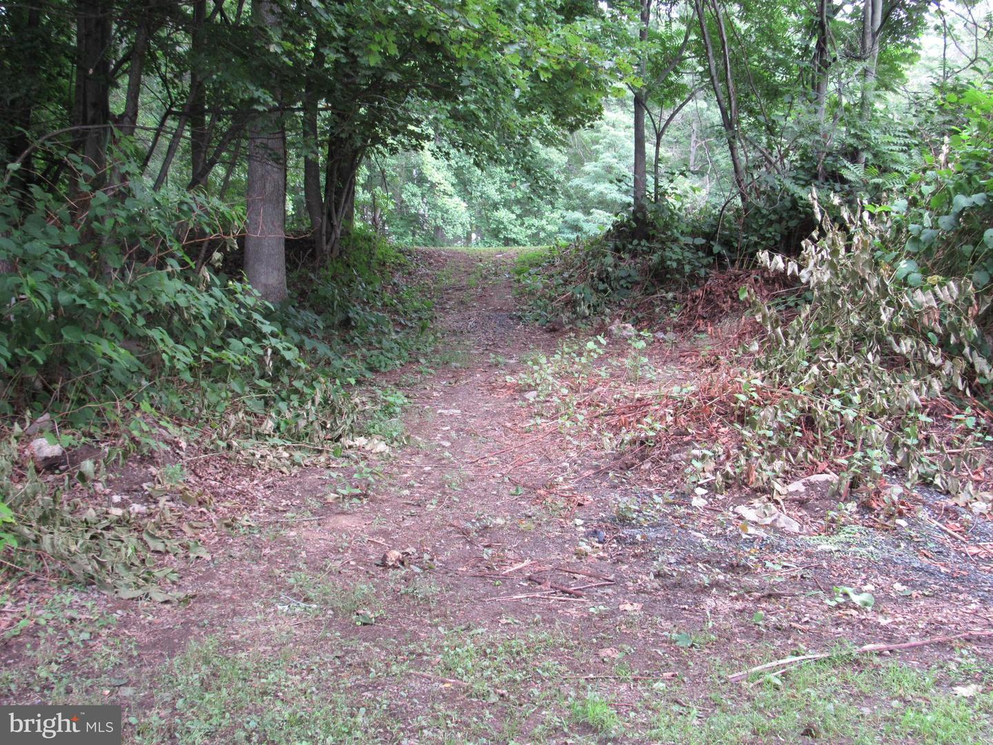 0 Silver Ln Property Photo 3