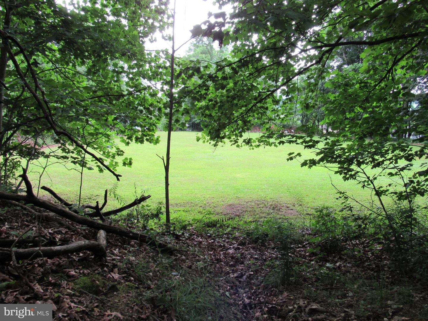 0 Silver Ln Property Photo 7