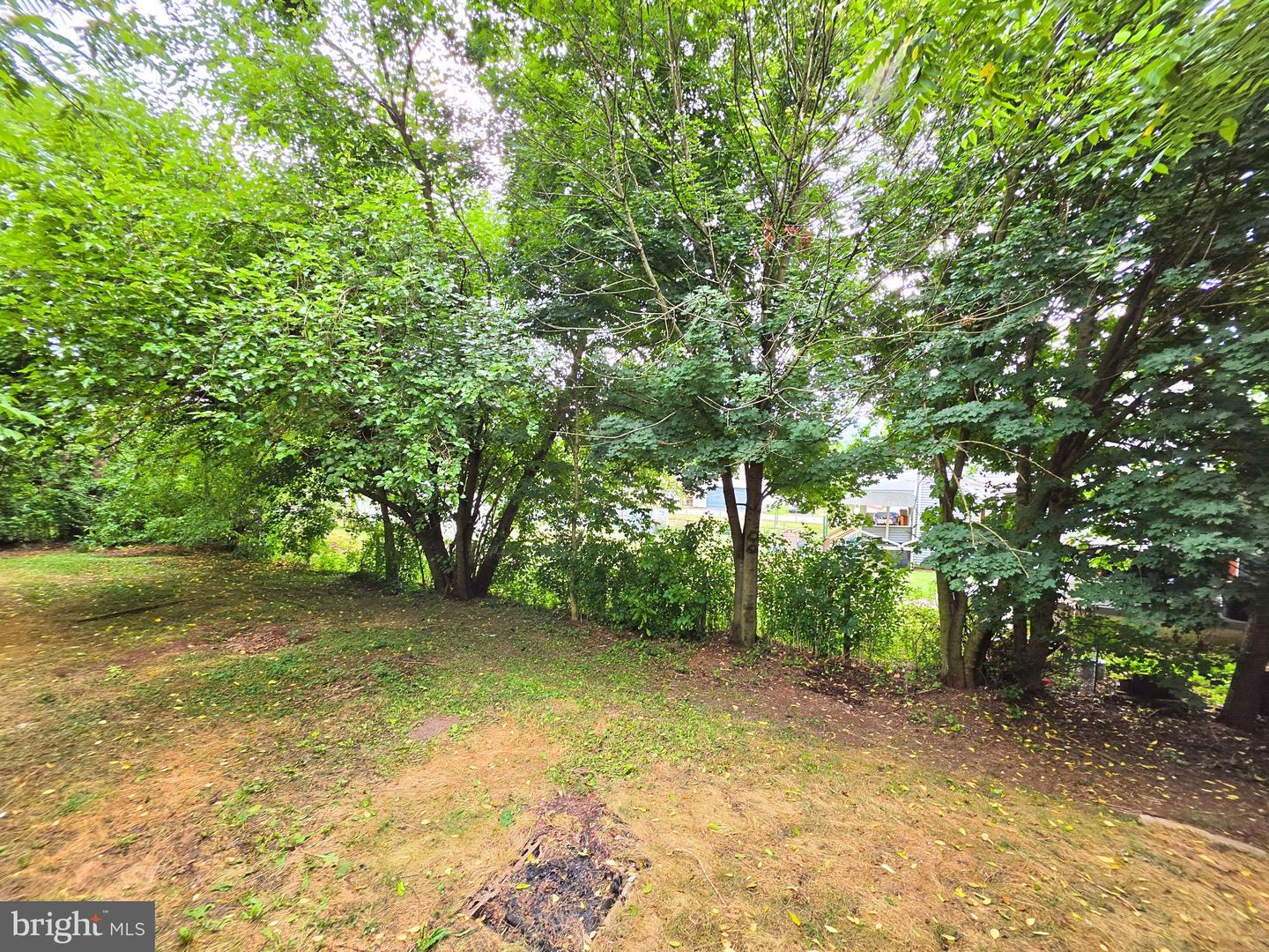 2 E Colliery Ave Property Photo 14