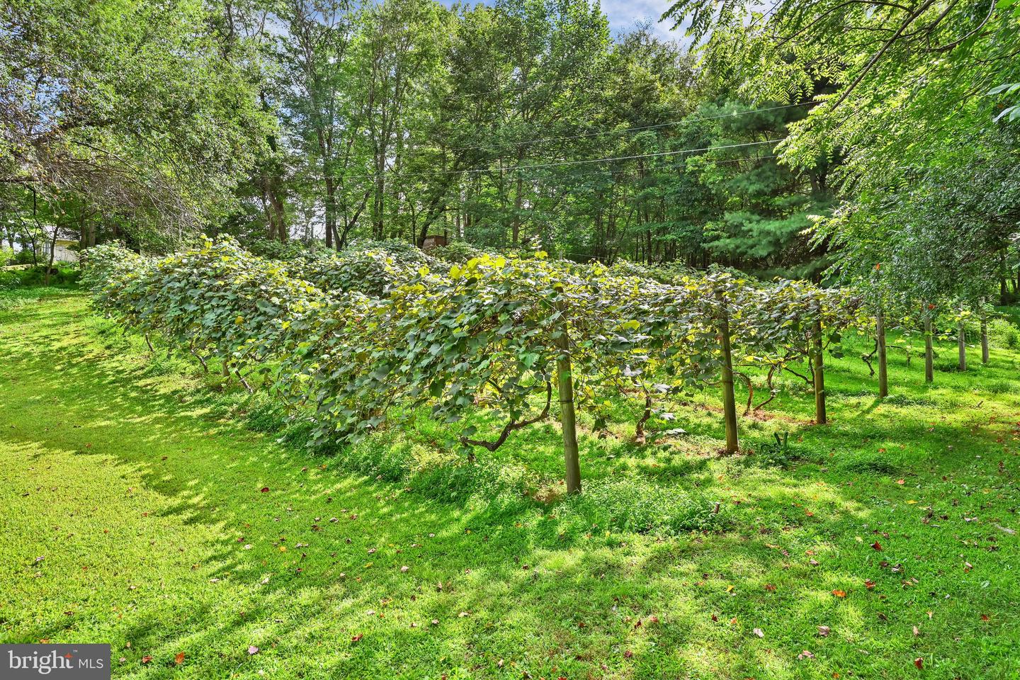 149 Grier Ave Property Photo 38